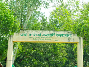 রেমা-কালেঙ্গা অভয়ারণ্য 2 রেমা-কালেঙ্গা অভয়ারণ্য